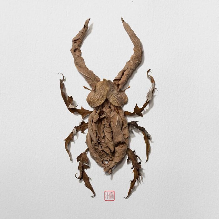 Nature's Palette: Raku Inoue's Delightful Animal Portraits Blossom With Creativity (New Pics)