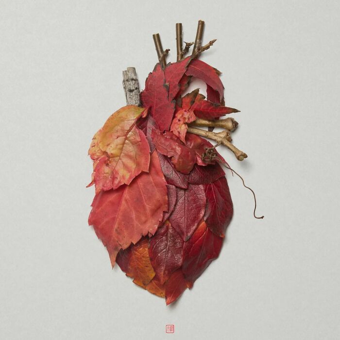 Nature's Palette: Raku Inoue's Delightful Animal Portraits Blossom With Creativity (New Pics)