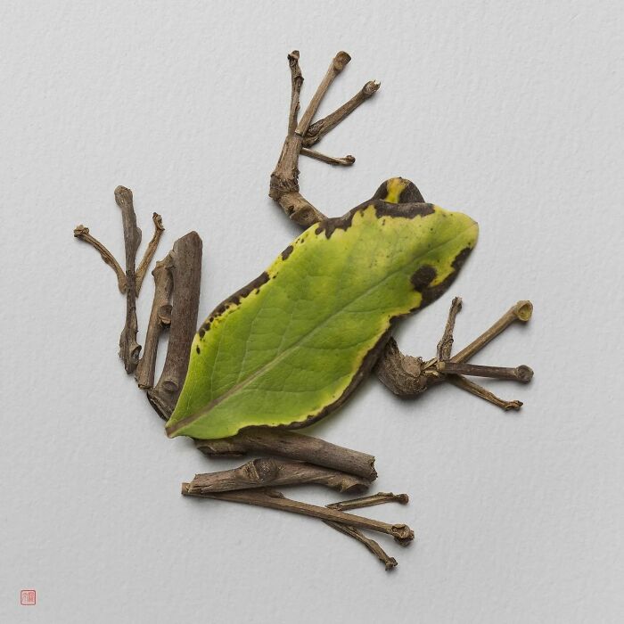 Nature's Palette: Raku Inoue's Delightful Animal Portraits Blossom With Creativity (New Pics)