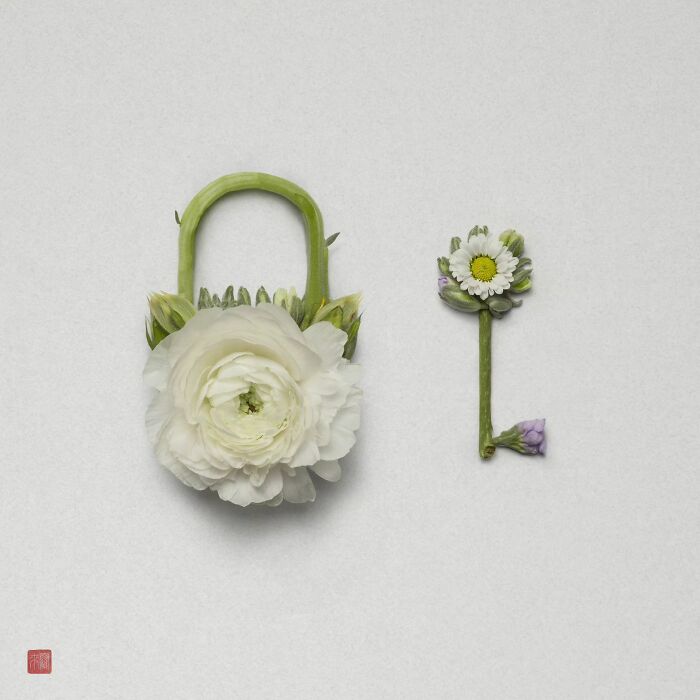 Nature's Palette: Raku Inoue's Delightful Animal Portraits Blossom With Creativity (New Pics)