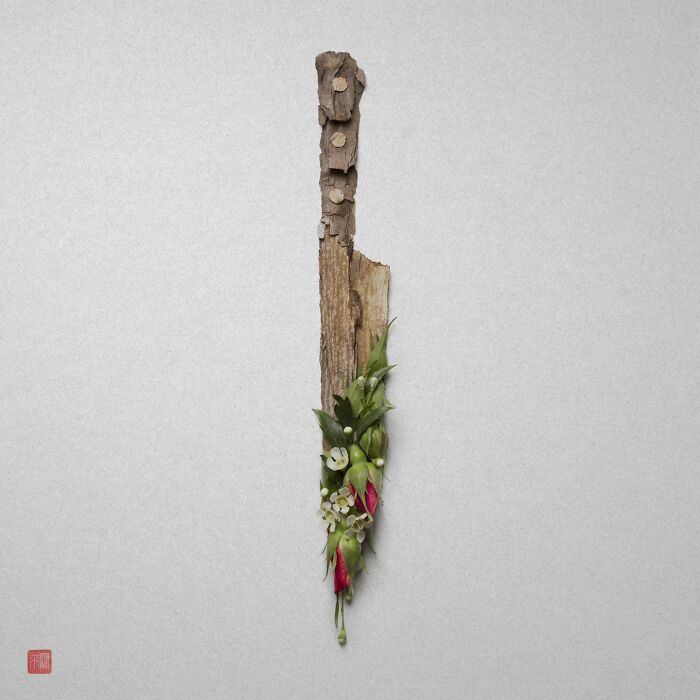 Nature's Palette: Raku Inoue's Delightful Animal Portraits Blossom With Creativity (New Pics)