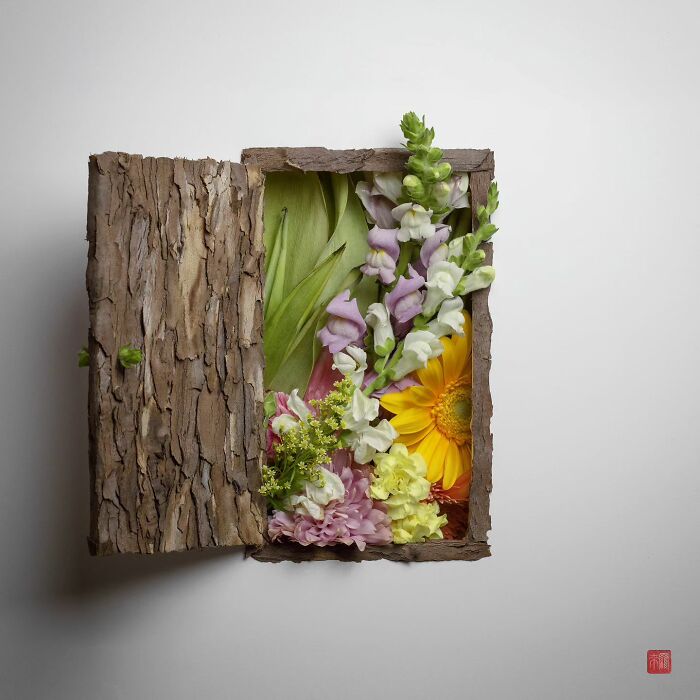 Nature's Palette: Raku Inoue's Delightful Animal Portraits Blossom With Creativity (New Pics)