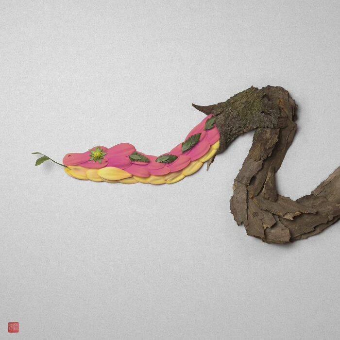 Nature's Palette: Raku Inoue's Delightful Animal Portraits Blossom With Creativity (New Pics)