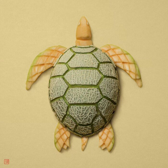 Nature's Palette: Raku Inoue's Delightful Animal Portraits Blossom With Creativity (New Pics)