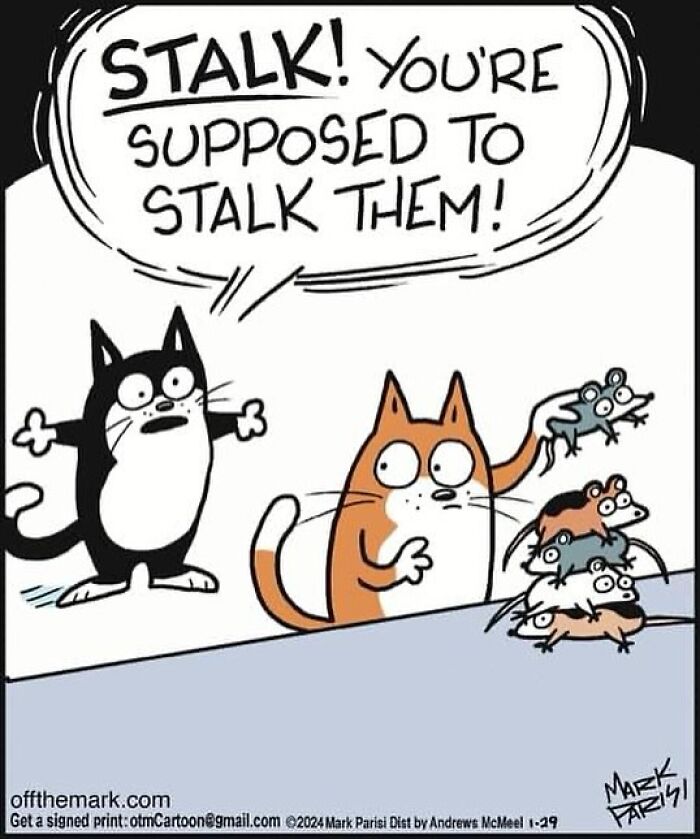 Funny Comic By Mark Parisi