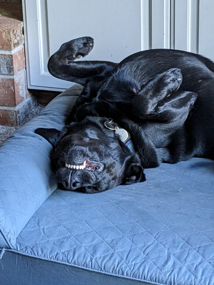 She Is Actually Sleeping And Snoring