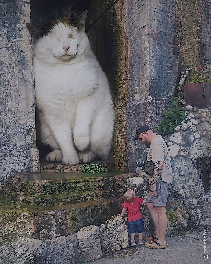 Pawsitively Epic: Russian Artist Envisions A Giant Feline World In New Series ( New Pics)