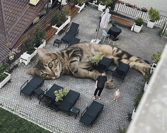Pawsitively Epic: Russian Artist Envisions A Giant Feline World In New Series ( New Pics)