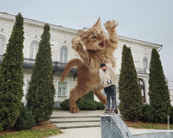 Pawsitively Epic: Russian Artist Envisions A Giant Feline World In New Series ( New Pics)