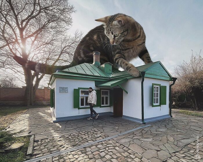 Pawsitively Epic: Russian Artist Envisions A Giant Feline World In New Series ( New Pics)