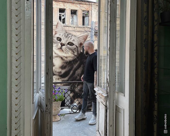 Pawsitively Epic: Russian Artist Envisions A Giant Feline World In New Series ( New Pics)