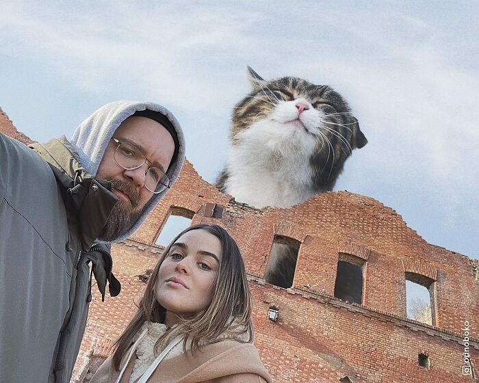 Pawsitively Epic: Russian Artist Envisions A Giant Feline World In New Series ( New Pics)