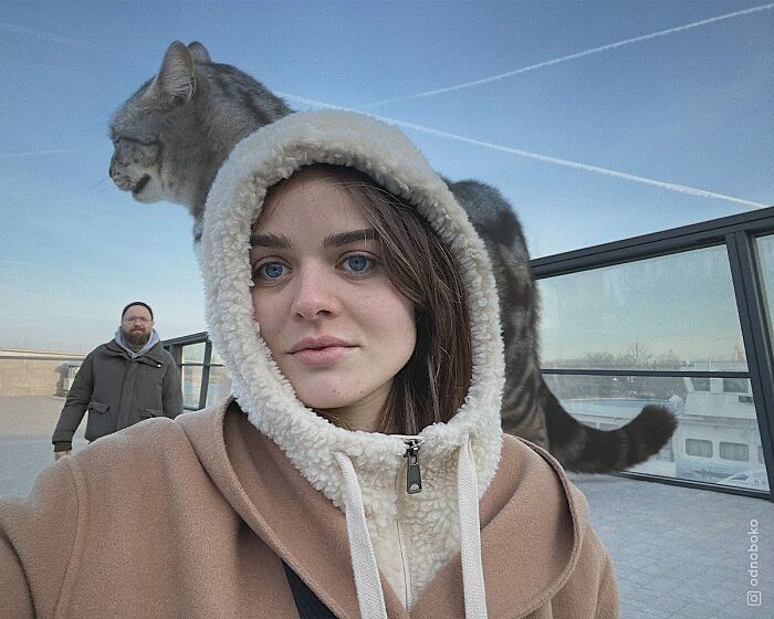 Pawsitively Epic: Russian Artist Envisions A Giant Feline World In New Series ( New Pics)