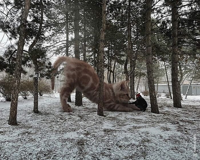 Pawsitively Epic: Russian Artist Envisions A Giant Feline World In New Series ( New Pics)