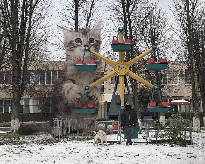 Pawsitively Epic: Russian Artist Envisions A Giant Feline World In New Series ( New Pics)