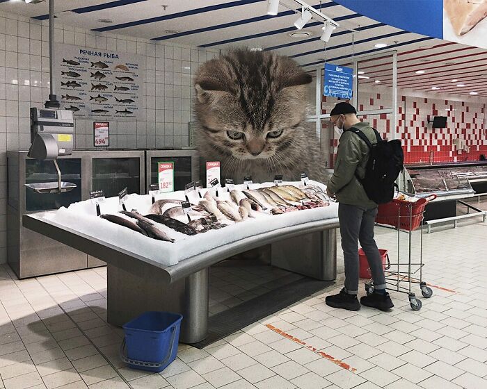 Pawsitively Epic: Russian Artist Envisions A Giant Feline World In New Series ( New Pics)