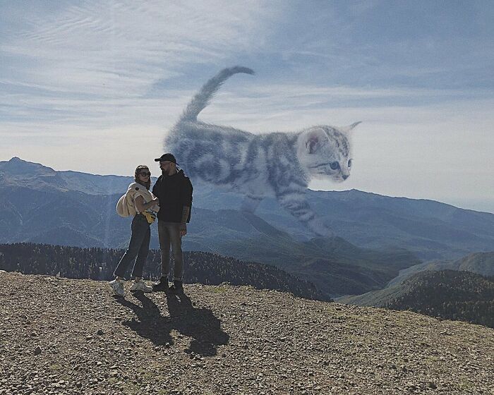 Pawsitively Epic: Russian Artist Envisions A Giant Feline World In New Series ( New Pics)