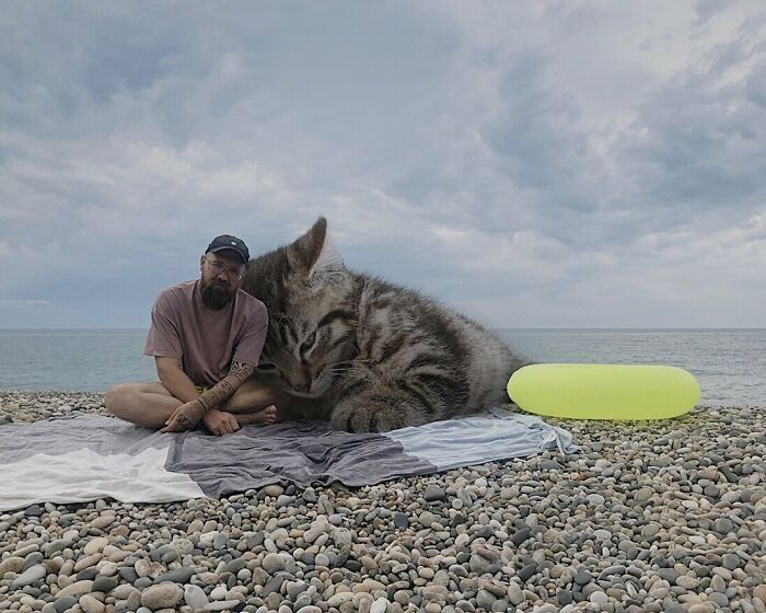 Pawsitively Epic: Russian Artist Envisions A Giant Feline World In New Series ( New Pics)