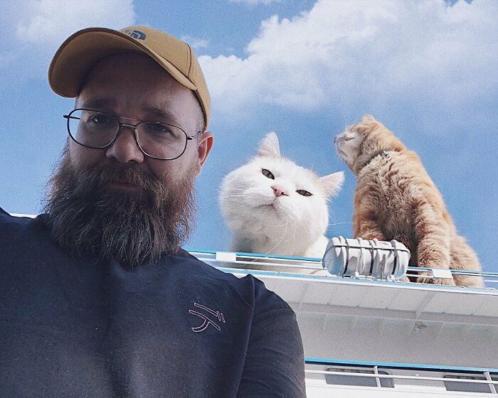 Pawsitively Epic: Russian Artist Envisions A Giant Feline World In New Series ( New Pics)