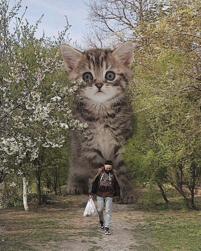 Pawsitively Epic: Russian Artist Envisions A Giant Feline World In New Series ( New Pics)