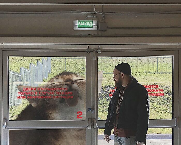 Pawsitively Epic: Russian Artist Envisions A Giant Feline World In New Series ( New Pics)