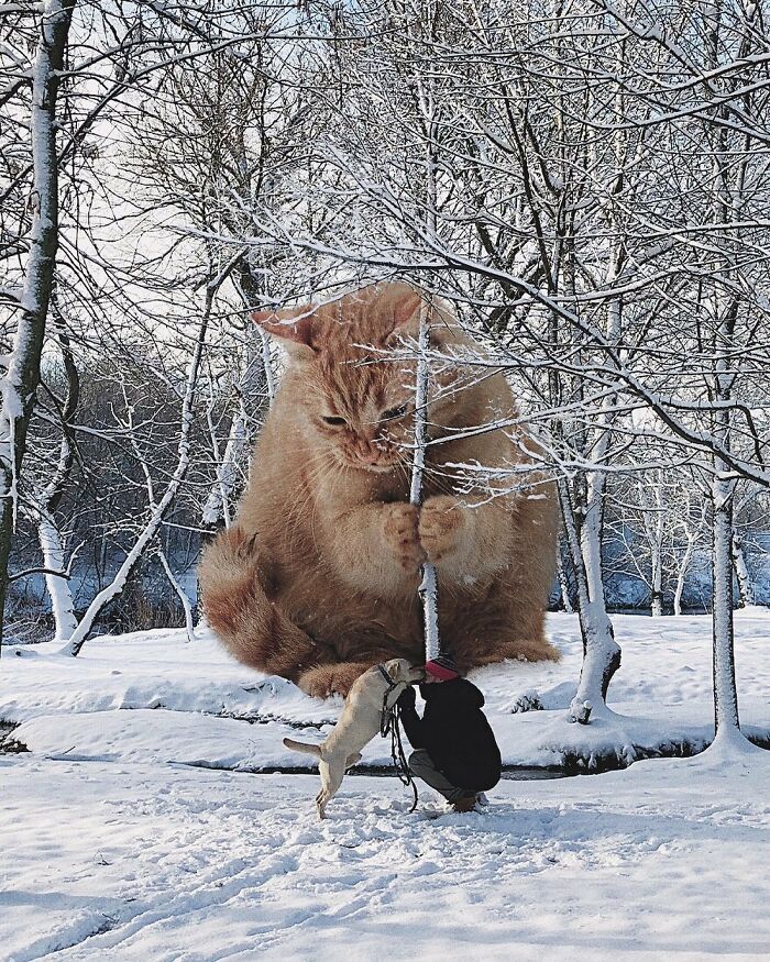 Pawsitively Epic: Russian Artist Envisions A Giant Feline World In New Series ( New Pics)