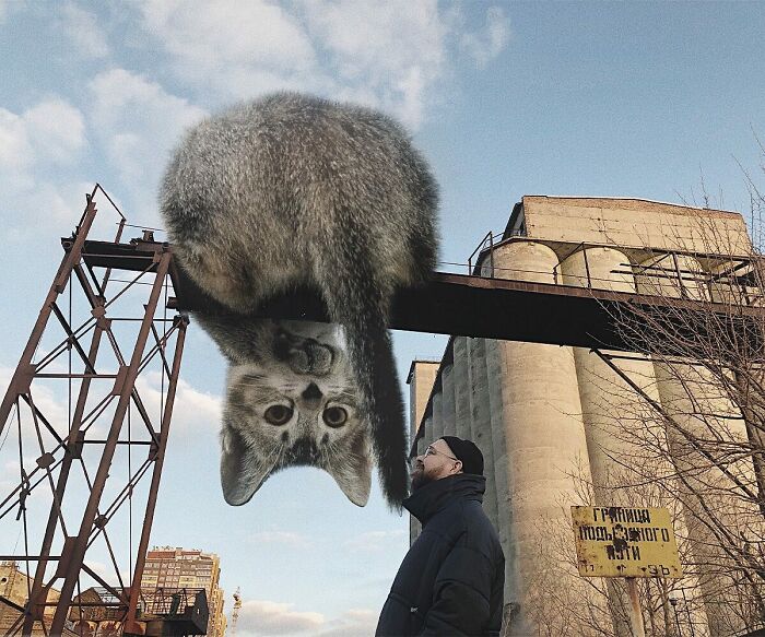 Pawsitively Epic: Russian Artist Envisions A Giant Feline World In New Series ( New Pics)