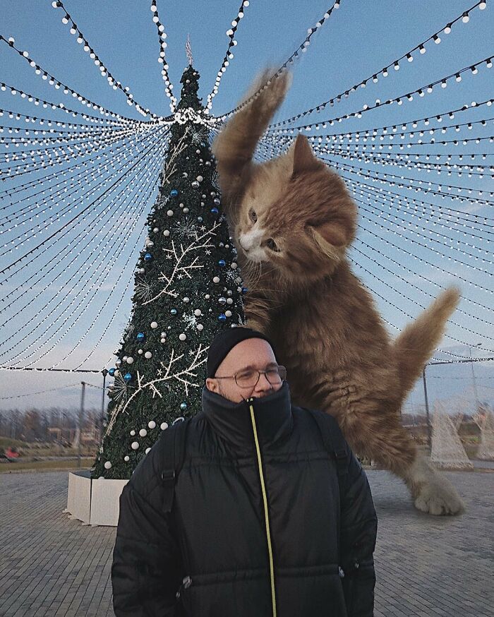 Pawsitively Epic: Russian Artist Envisions A Giant Feline World In New Series ( New Pics)
