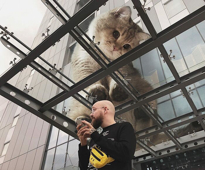 Pawsitively Epic: Russian Artist Envisions A Giant Feline World In New Series ( New Pics)