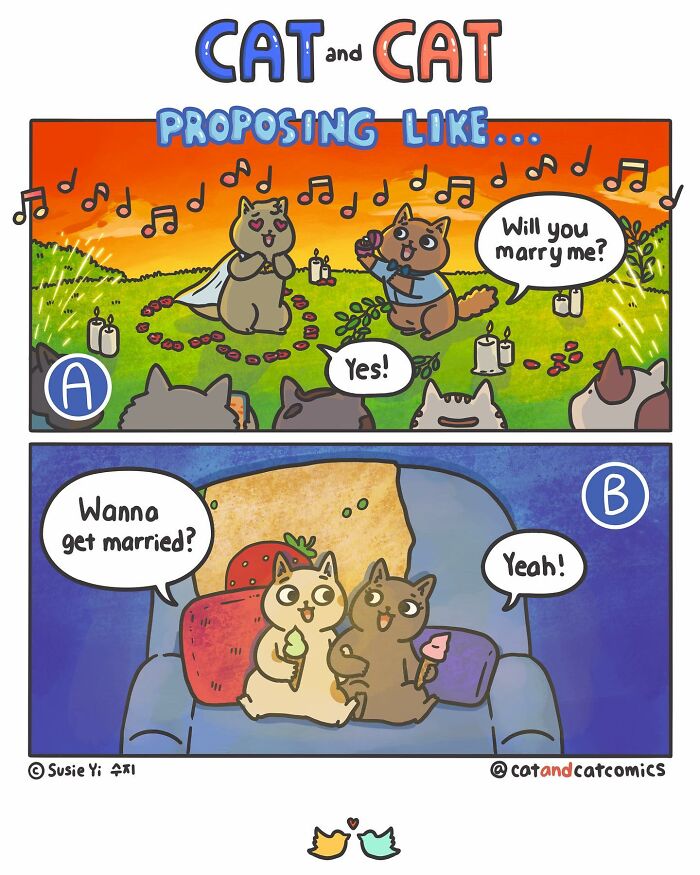 Cat & Cat Comics By Susie Yi