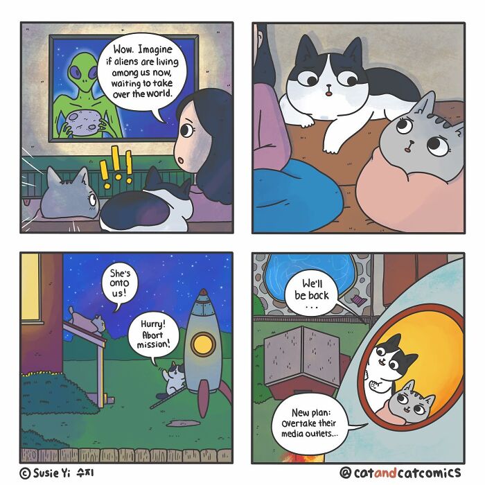 Cat & Cat Comics By Susie Yi