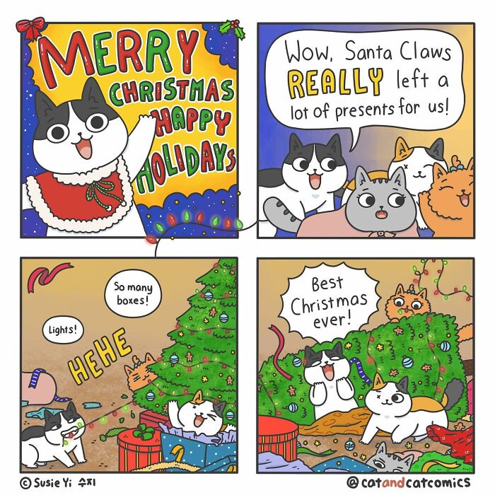 Cat & Cat Comics By Susie Yi