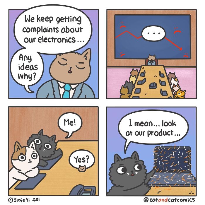 Cat & Cat Comics By Susie Yi