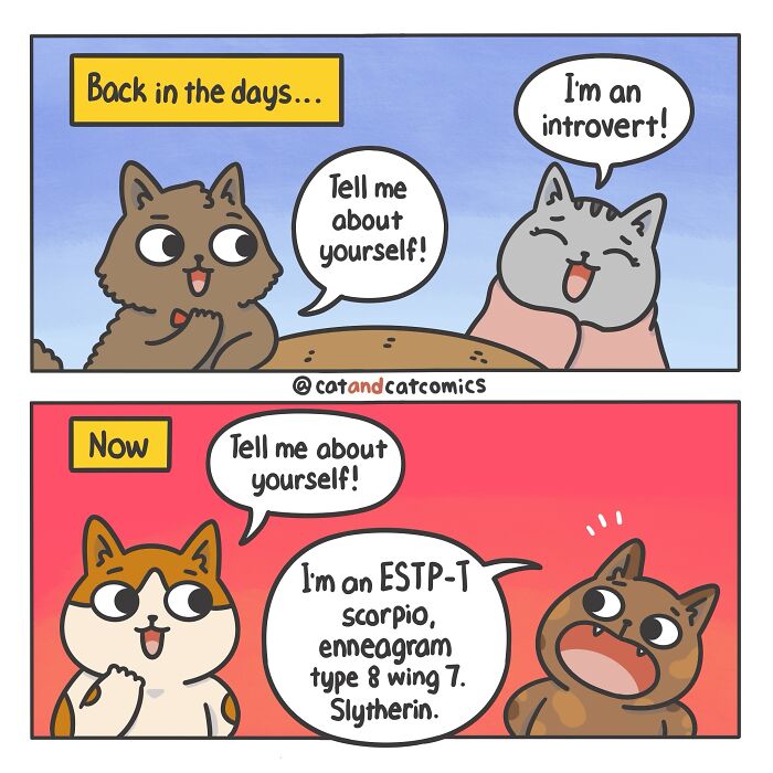 Cat & Cat Comics By Susie Yi