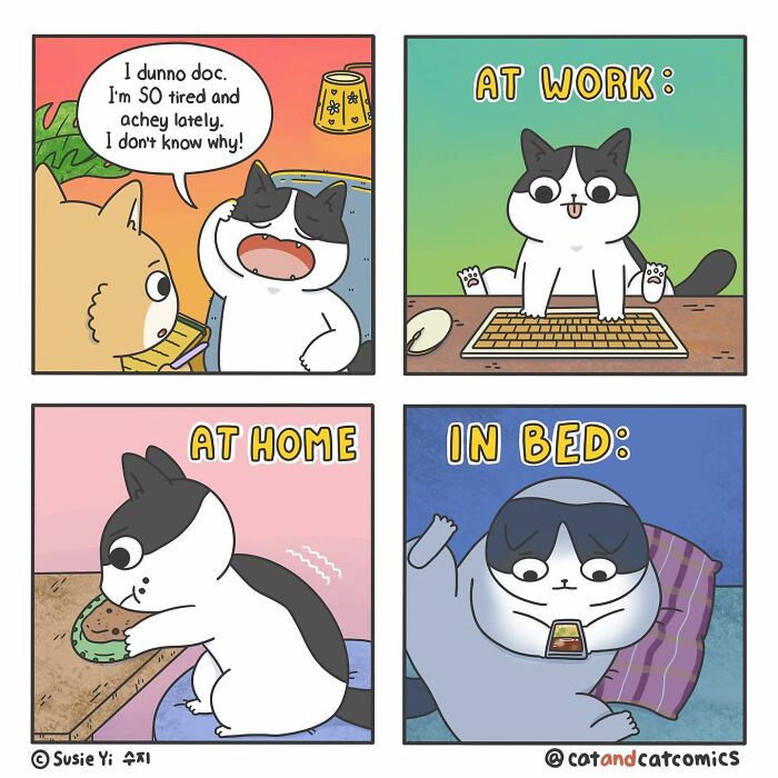 Cat & Cat Comics By Susie Yi