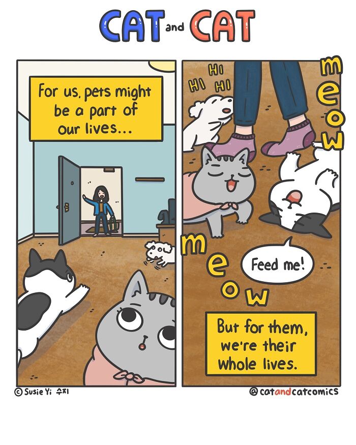Cat & Cat Comics By Susie Yi