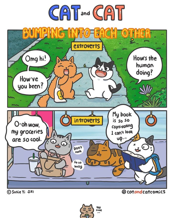 Cat & Cat Comics By Susie Yi