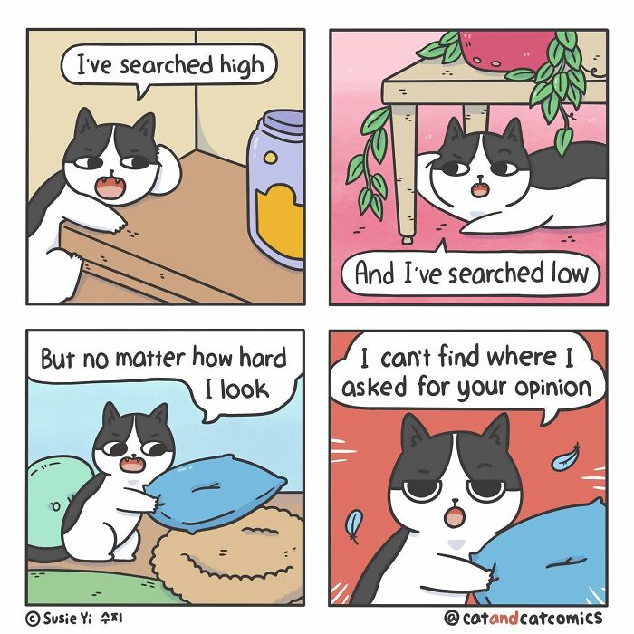 Cat & Cat Comics By Susie Yi