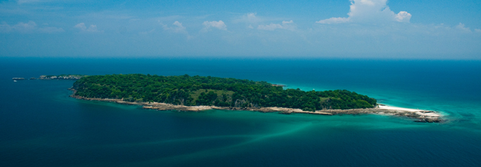 Turtle Tagging Is Making An Important Contribution To Protect Vulnerable Marine Species - 9