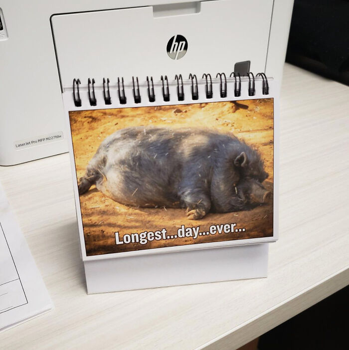 LOL At Your Desk With These Hilarious Mood Expression Sheet Cards - Because Every Office Needs A Chuckle Break!