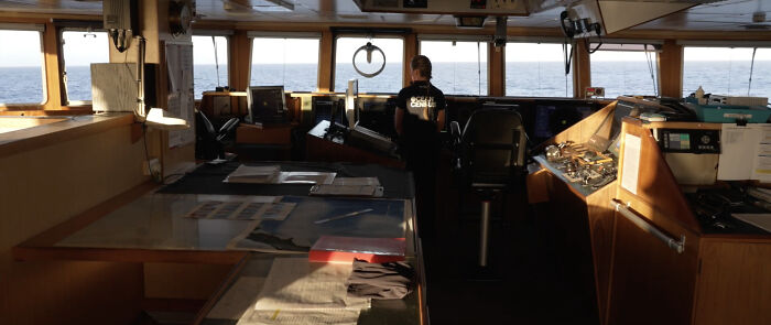 Scientists In New Zealand Have Discovered More Than 100 New Species, Including From Unseen Genus - 1