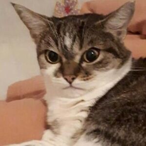 engineerpower avatar