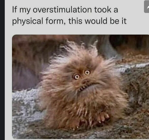 Found On Another Bored Panda Article. Full Credit To Them