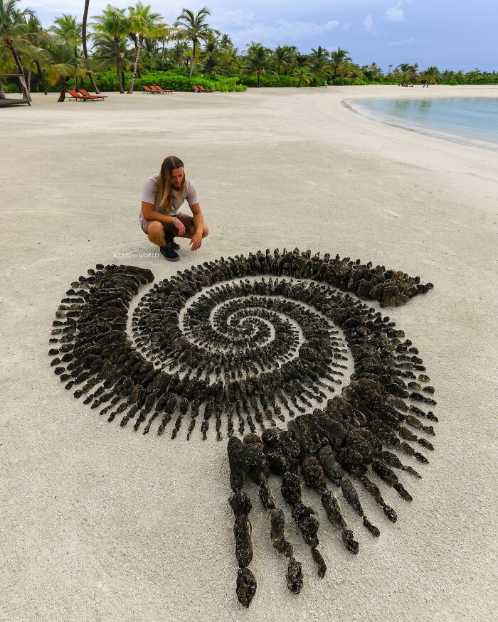 Tenebris Corallium, 2023