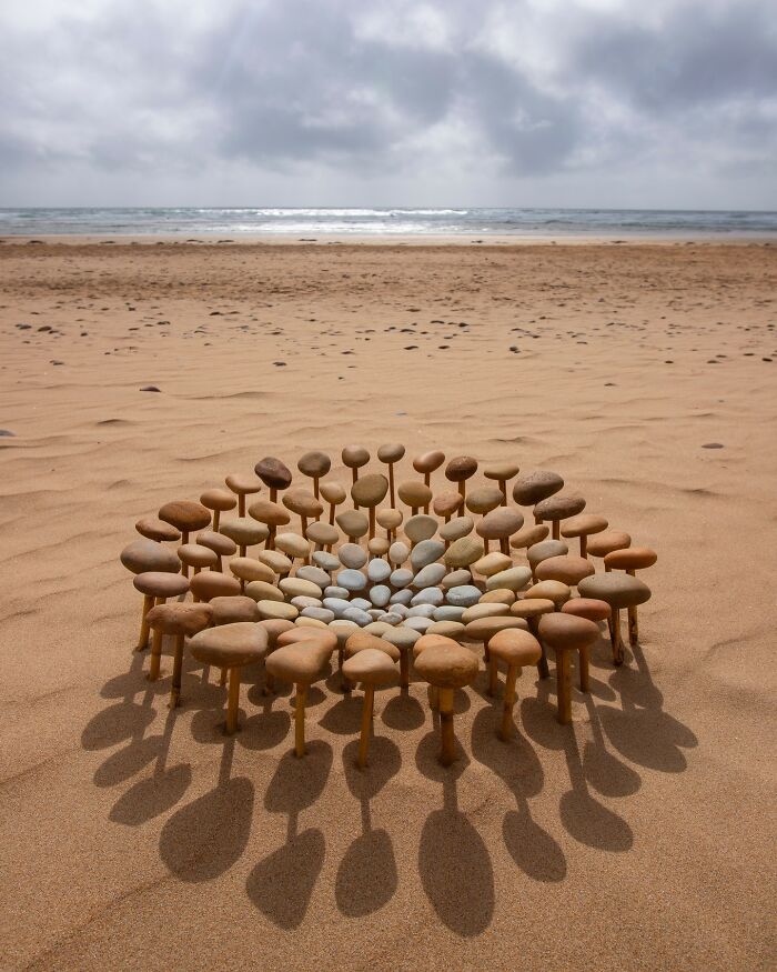 Land art piece made with natural materials arranged in a circular pattern on a sandy beach near the ocean.