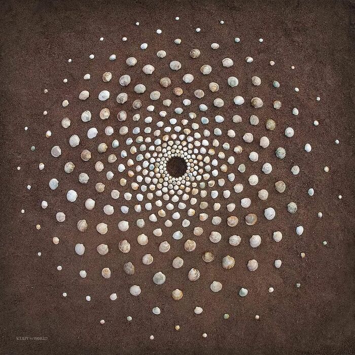 Land art piece featuring a spiral pattern of natural shells arranged patiently on dark soil by an artist.