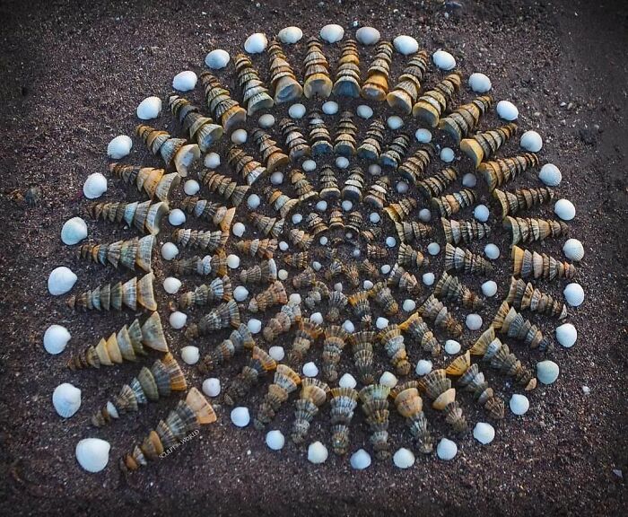 Vehemens Spiralis, 2023