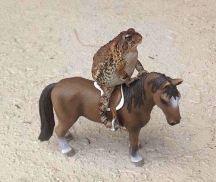 Goofy-Artificial-Intelligence-Pics-With-Feelingz