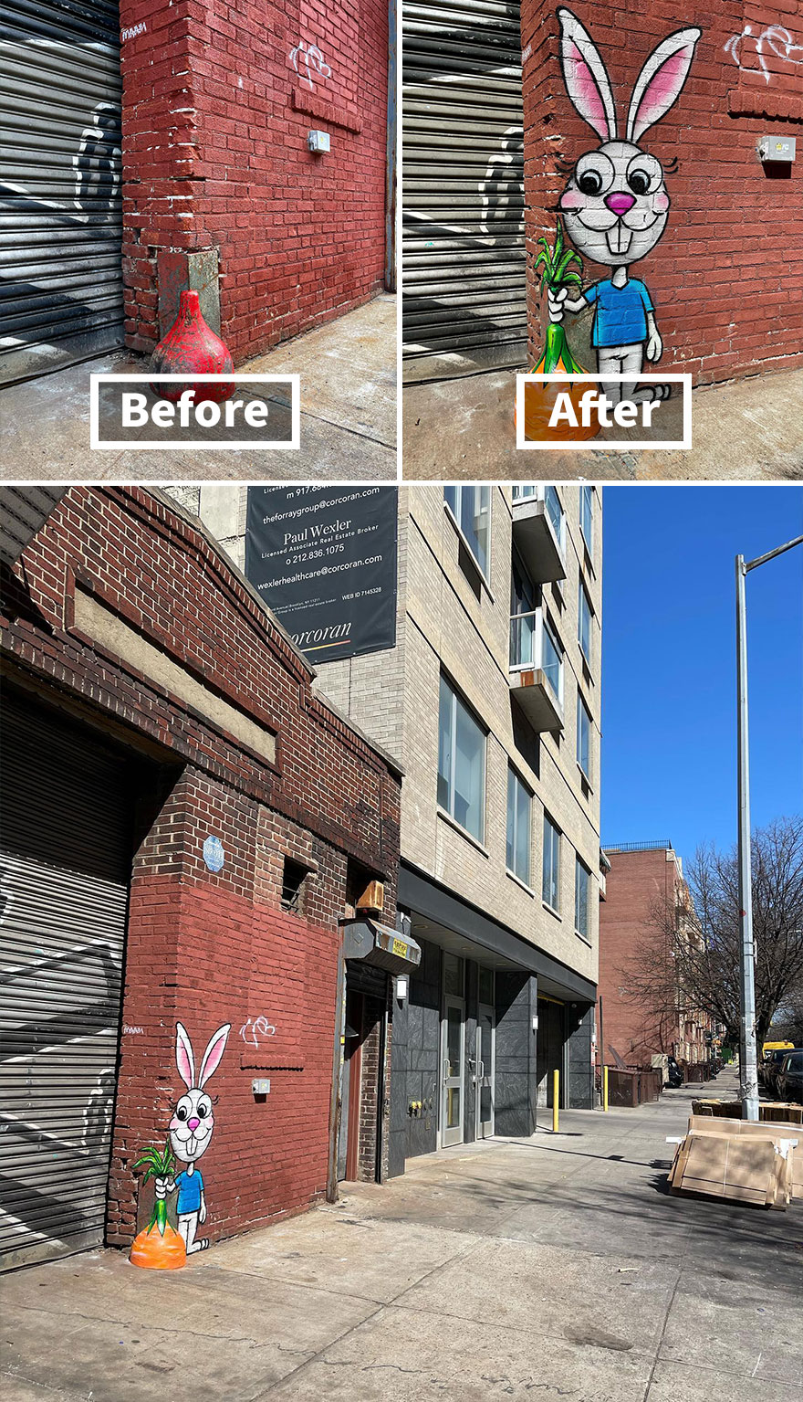 What’s Up, Doc?, Brooklyn, New York City