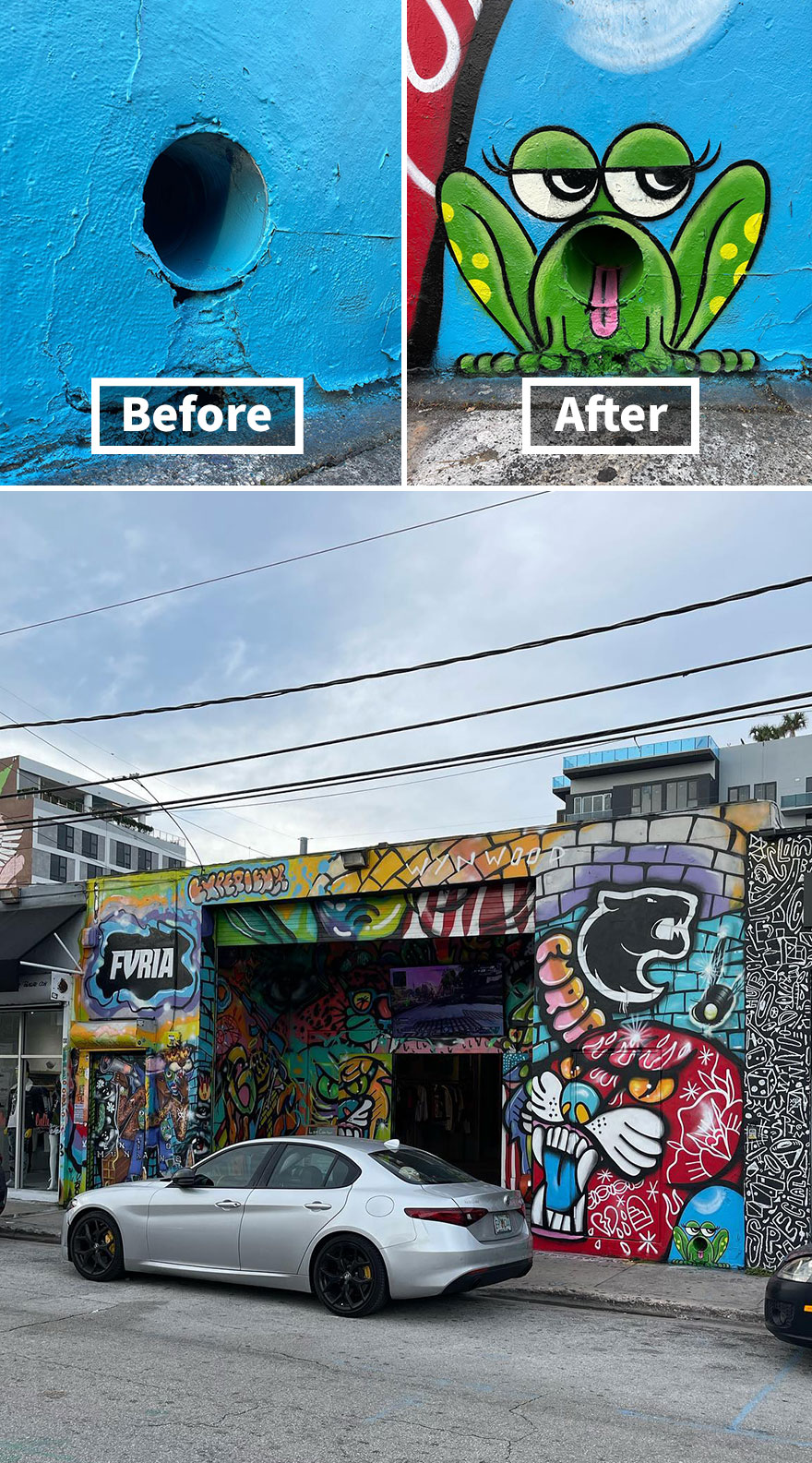 Frog, Wynwood, Miami,florida